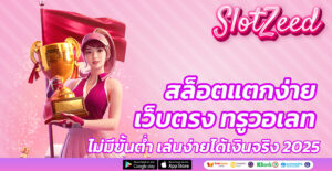 สล็อตแตกง่าย